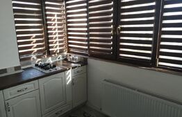 Garsoniera de inchiriat, 45 mp, bloc nou, strada Paltinis