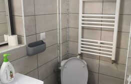 Garsoniera de inchiriat, 45 mp, bloc nou, strada Paltinis