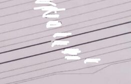 Teren extravilan 12.800 mp Cârcea, zonă Viaduct, ideal investiție!