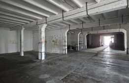  Hală producție/depozitare, de vanzare, 2600 mp, zona Bariera Vâlcii