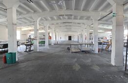  Hală producție/depozitare, de vanzare, 2600 mp, zona Bariera Vâlcii