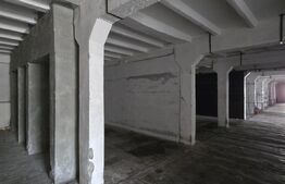  Hală producție/depozitare, de vanzare, 2600 mp, zona Bariera Vâlcii