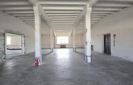  Hală producție/depozitare, de vanzare, 2600 mp, zona Bariera Vâlcii