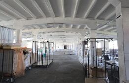  Hală producție/depozitare, de vanzare, 2600 mp, zona Bariera Vâlcii