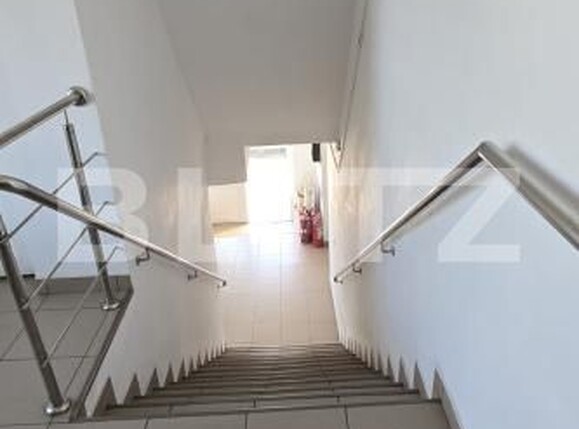 Spațiu industrial de vânzare Bariera Valcii - 169945SVI | BLITZ Craiova | Poza6