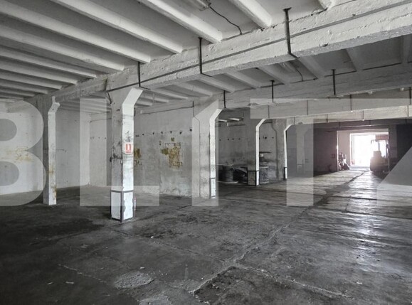Spațiu industrial de vânzare Bariera Valcii - 169945SVI | BLITZ Craiova | Poza16