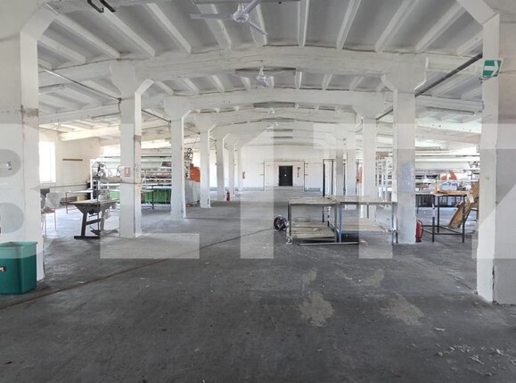 Spațiu industrial de vânzare Bariera Valcii - 169945SVI | BLITZ Craiova | Poza3