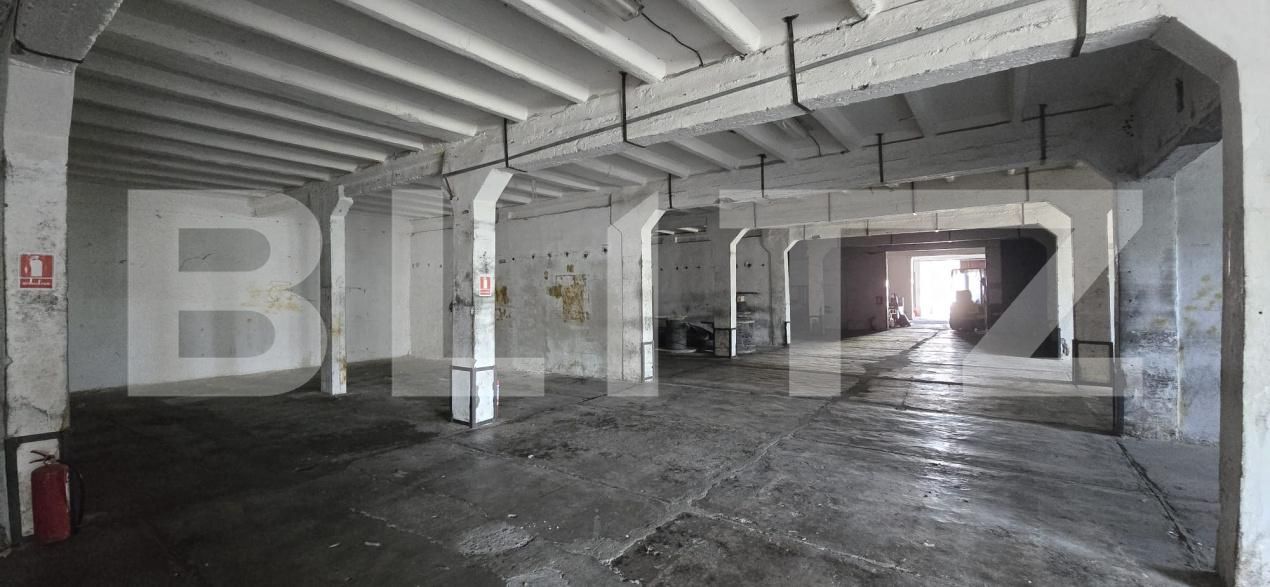 Spațiu industrial de vânzare Bariera Valcii - 169945SVI | BLITZ Craiova | Poza16