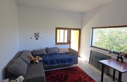 Casa Individuala, P+E, 3 dormitoare, 900 mp teren, zona Carcea-Metro