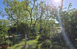 Casa Individuala, P+E, 3 dormitoare, 900 mp teren, zona Carcea-Metro