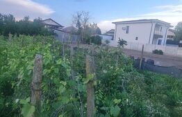 Teren intravilan 714mp, Carcea 