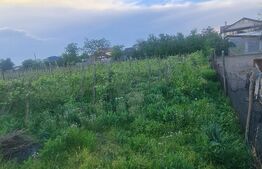 Teren intravilan 714mp, Carcea 