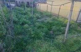 Teren intravilan 714mp, Carcea 