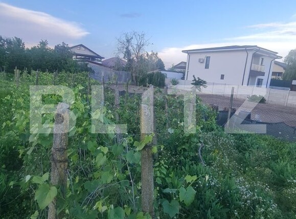 Teren de vânzare Carcea  - 169979TV | BLITZ Craiova | Poza1