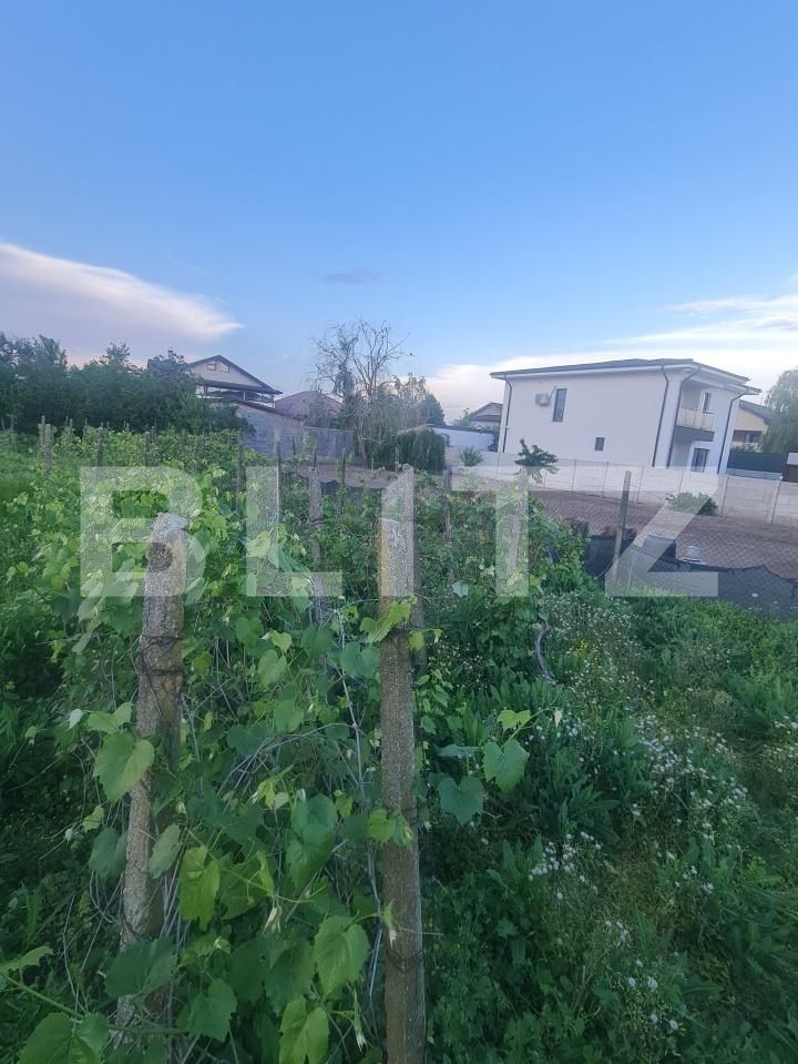 Teren de vânzare Carcea  - 169979TV | BLITZ Craiova | Poza1