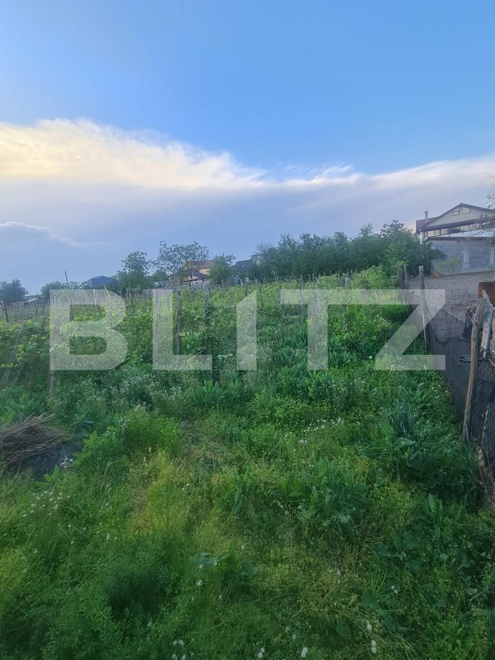 Teren de vânzare Carcea  - 169979TV | BLITZ Craiova | Poza3