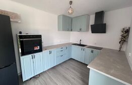 Casa de inchiriat, cu 4 camere, 120 mp utili si 500 mp de teren, zona Metro