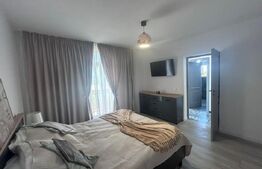 Casa de inchiriat, cu 4 camere, 120 mp utili si 500 mp de teren, zona Metro