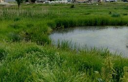 Teren intravilan in spatele Peugeot, 3600mp, 11m deschidere