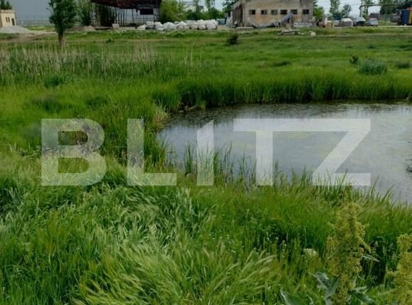 Teren de vânzare Pielești - 170011TV | BLITZ Craiova | Poza1