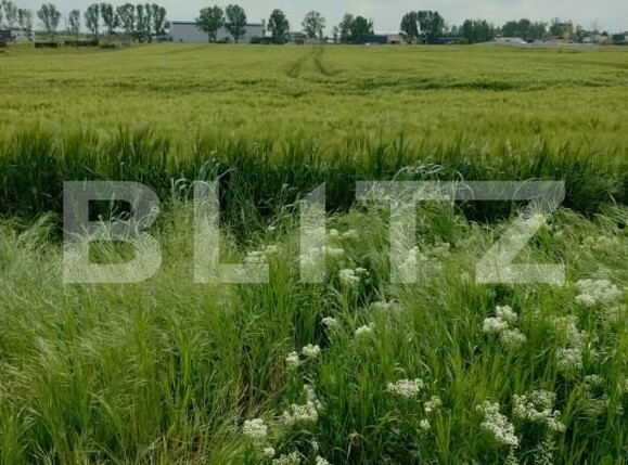 Teren de vânzare Pielești - 170011TV | BLITZ Craiova | Poza2