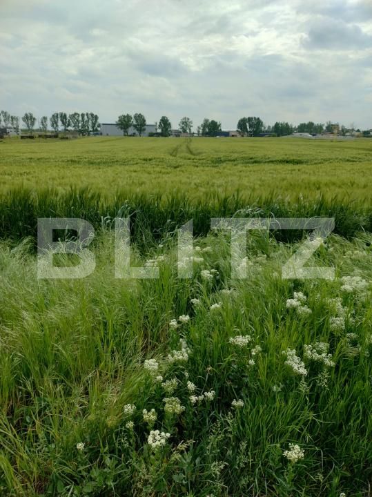 Teren de vânzare Pielești - 170011TV | BLITZ Craiova | Poza2