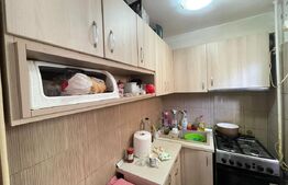 Apartament de vanzare, cu 2 camere, 27 mp, zona Valea Rosie