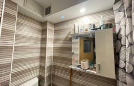 Apartament de vanzare, cu 2 camere, 27 mp, zona Valea Rosie