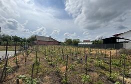 Teren intravilan 1.342 mp Filiași, parcelabil, ideal investiție!