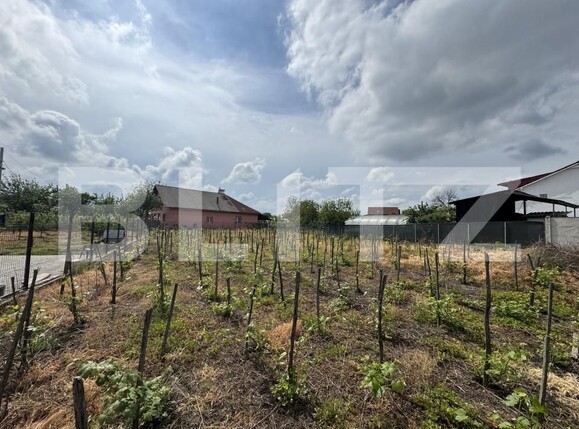 Teren de vânzare Filiaşi - 170098TV | BLITZ Craiova | Poza1