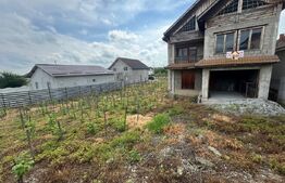 Casă la roșu Filiași, 232 mp, teren generos 1842 mp, investiție ideală