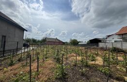 Casă la roșu Filiași, 232 mp, teren generos 1842 mp, investiție ideală