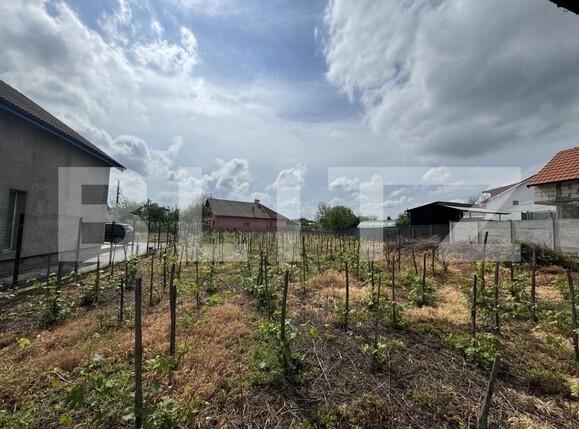 Casa de vânzare 4 camere Filiaşi - 170099CV | BLITZ Craiova | Poza5