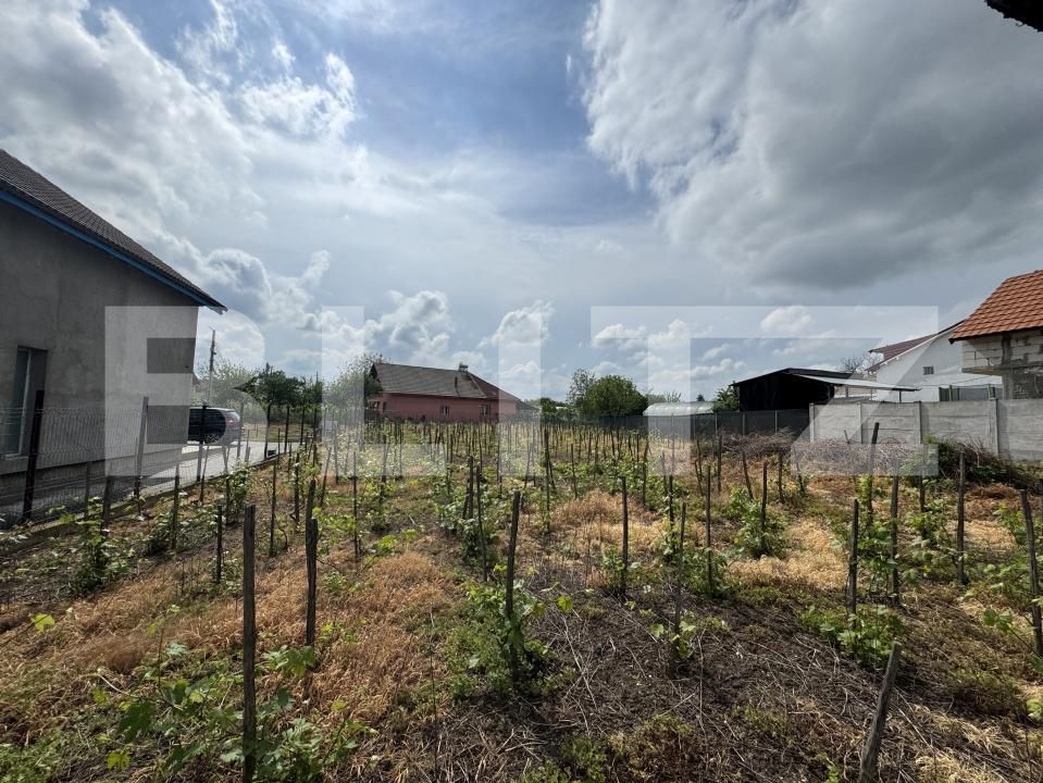 Casa de vânzare 4 camere Filiaşi - 170099CV | BLITZ Craiova | Poza5