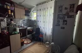Apartament cu 2 camere, semidecomandat, 27 mp, zona Valea Rosie 