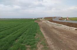 Teren extravilan de vanzare, 11630 mp, langa Dex si statia de gaze Ghercesti