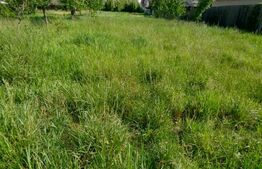 Teren intravilan de vanzare, 900 mp, deschidere de 15 m, zona Brestei-Cernele