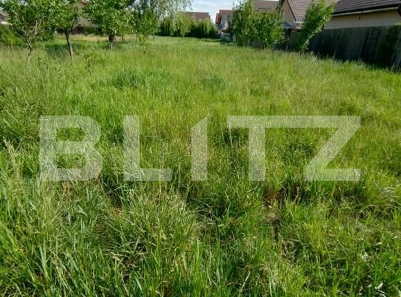 Teren de vânzare Brestei - 170236TV | BLITZ Craiova | Poza1