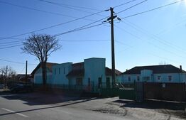 Hale, spatii de depozitare si administrative, teren 6530 mp, Cernele