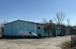 Hale, spatii de depozitare si administrative, teren 6530 mp, Cernele