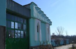 Hale, spatii de depozitare si administrative, teren 6530 mp, Cernele