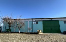 Hale, spatii de depozitare si administrative, teren 6530 mp, Cernele