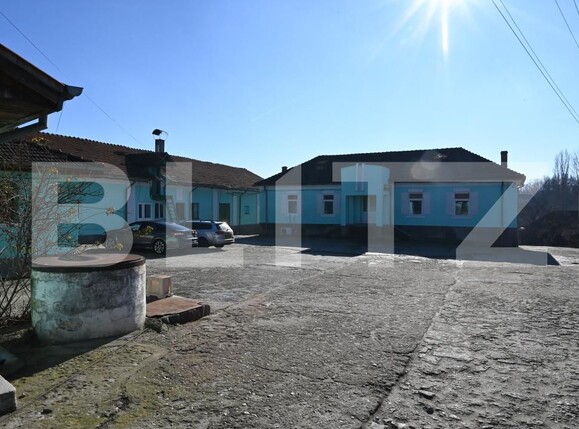 Spațiu industrial de vânzare Cernele - 170273SVI | BLITZ Craiova | Poza4