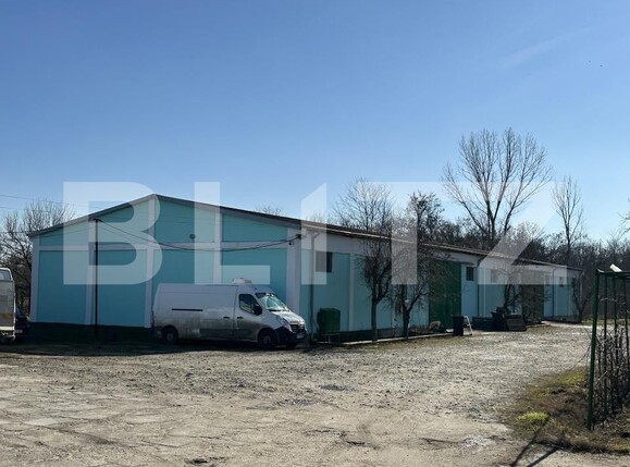 Spațiu industrial de vânzare Cernele - 170273SVI | BLITZ Craiova | Poza1