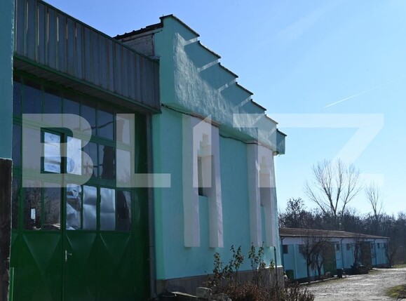 Spațiu industrial de vânzare Cernele - 170273SVI | BLITZ Craiova | Poza13