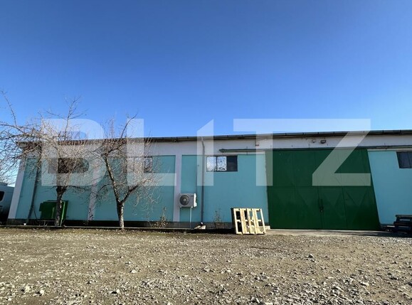 Spațiu industrial de vânzare Cernele - 170273SVI | BLITZ Craiova | Poza12