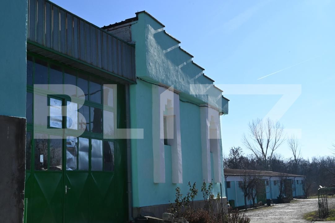 Spațiu industrial de vânzare Cernele - 170273SVI | BLITZ Craiova | Poza13