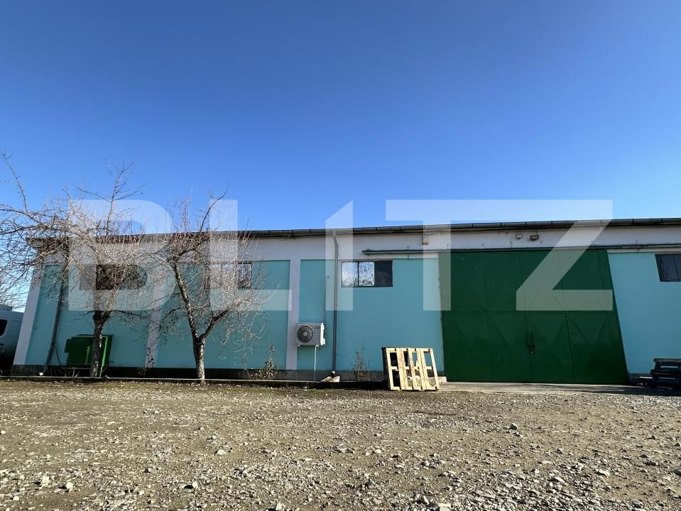 Spațiu industrial de vânzare Cernele - 170273SVI | BLITZ Craiova | Poza12