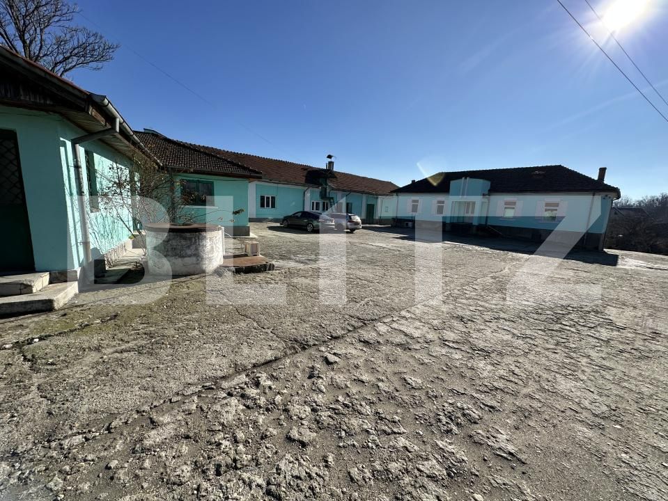 Spațiu industrial de vânzare Cernele - 170273SVI | BLITZ Craiova | Poza8