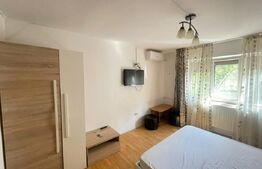 Garsoniera 22 mp, Etajul 1, zona Lapus- Facultatea de Automatica